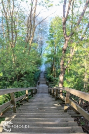 größte deutsche Ostseeinsel im Frühjahr - Tipps für den Rügen Urlaub