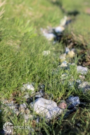 größte deutsche Ostseeinsel im Frühjahr - Tipps für den Rügen Urlaub