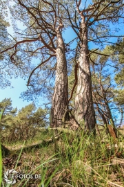 größte deutsche Ostseeinsel im Frühjahr - Tipps für den Rügen Urlaub