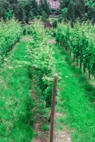 Neroberg Wiesbaden