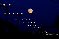 Flughafen Berlin Tegel - Plainspotting
