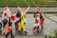 60 Jahre Karneval