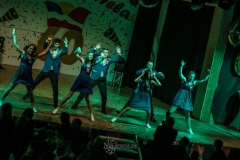 60. Jahre Karneval in Schoningen 2018