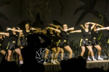 60. Jahre Karneval in Vernawahlshausen 2018 60. Jahre Karneval in Vernawahlshausen 2018