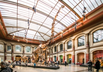 2018-01-06_12-16-31_96