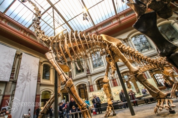 2018-01-06_12-18-59_96