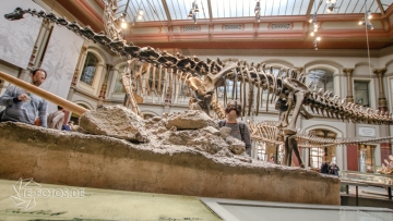 2018-01-06_12-20-07_96