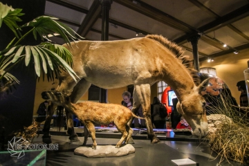 2018-01-06_12-26-21_96