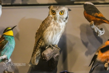 2018-01-06_12-49-42_96