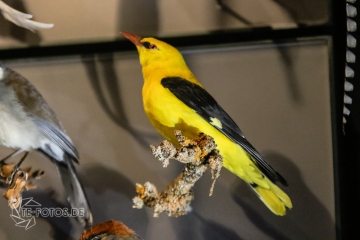 2018-01-06_12-50-07_96