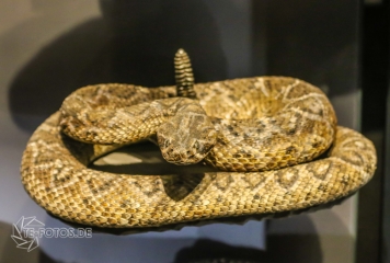 2018-01-06_12-53-09_96