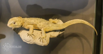 2018-01-06_12-53-15_96