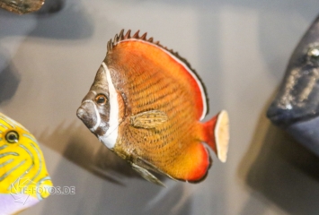 2018-01-06_12-53-24_96