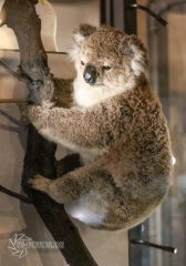 2018-01-06_12-58-20_96