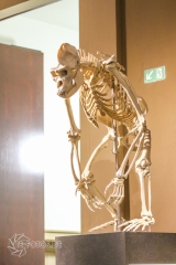 2018-01-06_13-00-00_96