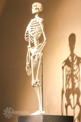 2018-01-06_13-00-09_96