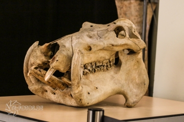 2018-01-06_13-04-22_96