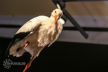 2018-01-06_13-12-36_96