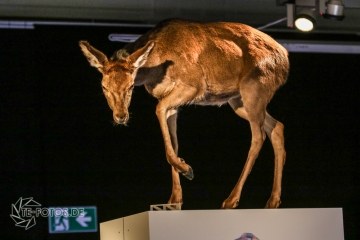 2018-01-06_13-14-05_96