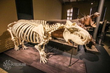 2018-01-06_13-26-00_96