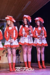Karneval in Schoningen 2019