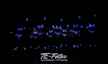 Karneval in Schoningen 2019