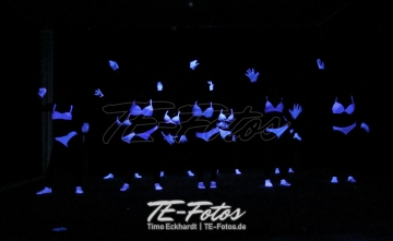 Karneval in Schoningen 2019