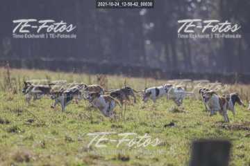 2021-10-24_12-50-42_00030