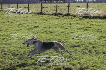 2021-10-24_12-50-49_00047