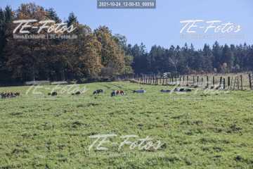 2021-10-24_12-50-53_00058