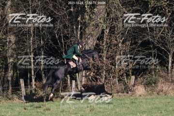 2021-10-24_12-52-11_00406