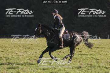 2021-10-24_12-53-08_00613 2021-10-24_12-53-08_00613