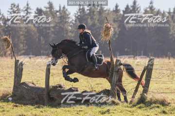 2021-10-24_12-53-13_00647 2021-10-24_12-53-13_00647