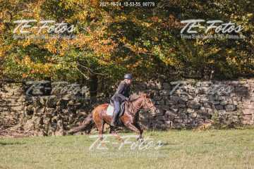 2021-10-24_12-53-55_00779 2021-10-24_12-53-55_00779