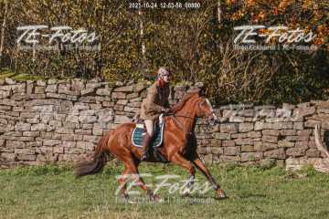 2021-10-24_12-53-58_00800 2021-10-24_12-53-58_00800