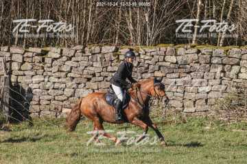 2021-10-24_12-53-59_00805 2021-10-24_12-53-59_00805