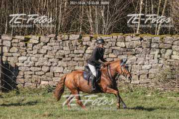 2021-10-24_12-53-59_00806 2021-10-24_12-53-59_00806