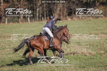 2021-10-24_12-54-08_00834 2021-10-24_12-54-08_00834