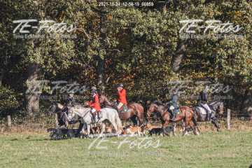 2021-10-24_12-54-19_00859 2021-10-24_12-54-19_00859