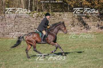 2021-10-24_12-54-38_00891 2021-10-24_12-54-38_00891