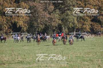 2021-10-24_12-54-42_00904 2021-10-24_12-54-42_00904