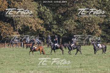 2021-10-24_12-54-42_00910 2021-10-24_12-54-42_00910