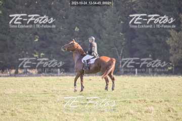 2021-10-24_12-54-45_00921 2021-10-24_12-54-45_00921