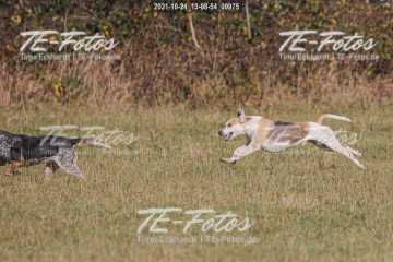 2021-10-24_13-08-54_00975 2021-10-24_13-08-54_00975