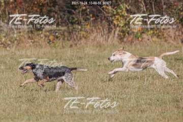 2021-10-24_13-08-55_00977 2021-10-24_13-08-55_00977