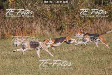 2021-10-24_13-08-57_00985 2021-10-24_13-08-57_00985