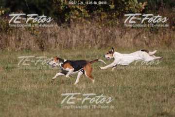 2021-10-24_13-08-58_00999 2021-10-24_13-08-58_00999