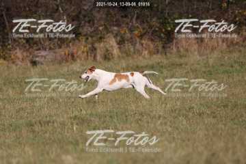 2021-10-24_13-09-06_01016 2021-10-24_13-09-06_01016