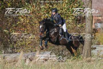 2021-10-24_13-41-30_03022 2021-10-24_13-41-30_03022