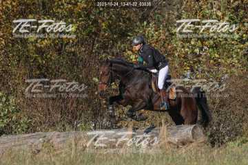 2021-10-24_13-41-32_03038 2021-10-24_13-41-32_03038